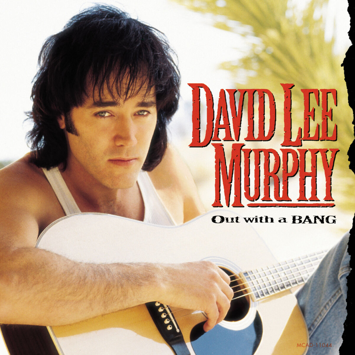 David Lee Murphy